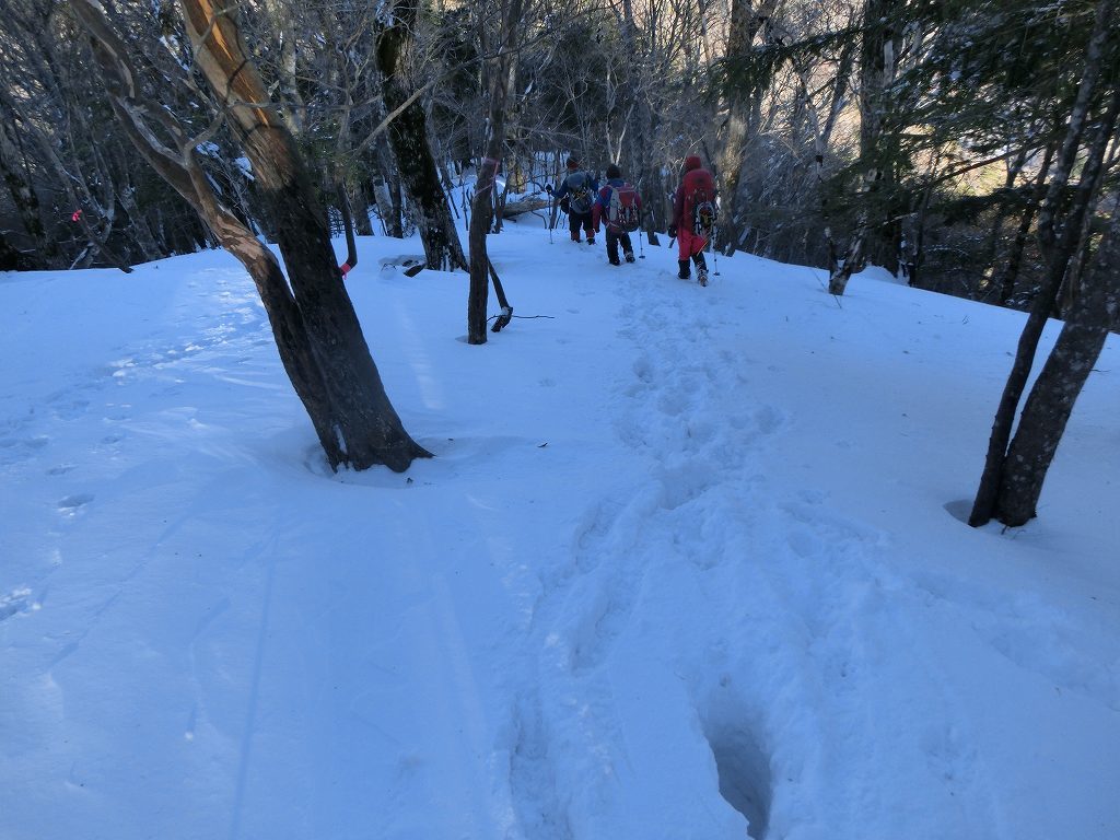 三嶺　雪の壁に阻まれ　勇気ある撤退_b0124306_23340573.jpg