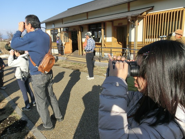 冬の野鳥観察会in浮島ヶ原自然公園＆沼川_f0141310_7491554.jpg