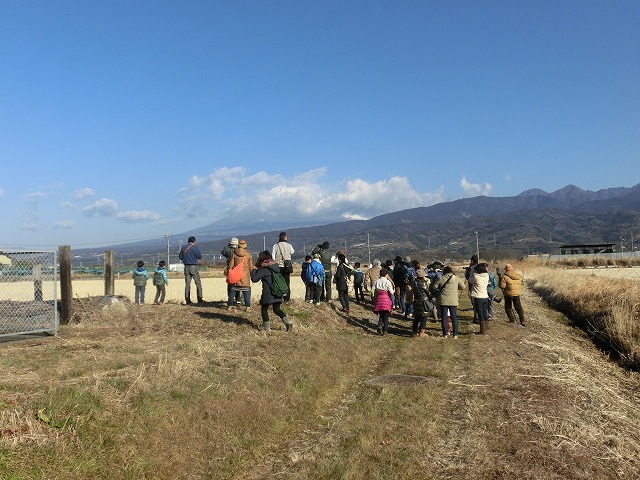 冬の野鳥観察会in浮島ヶ原自然公園＆沼川_f0141310_7495872.jpg