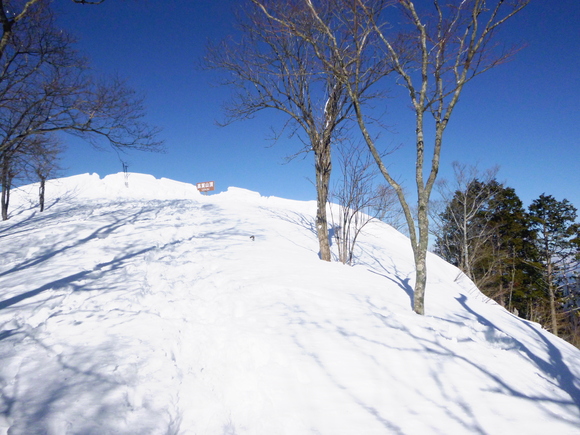 雪の高賀山　　　登頂 編_d0170615_1041260.jpg