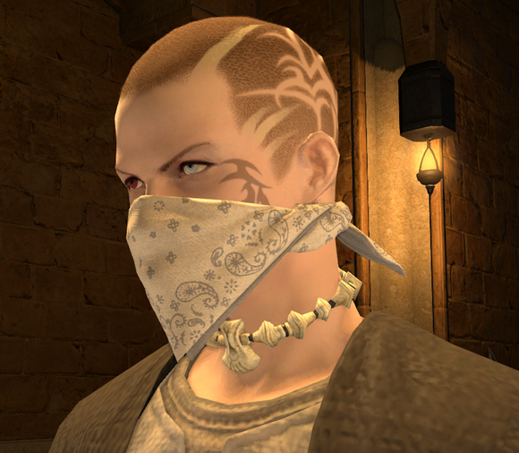 a0338429_21042764.png