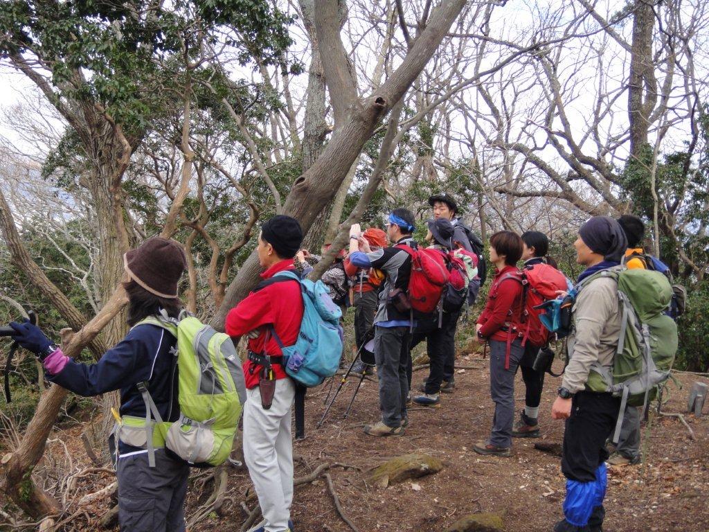 お猿の山 高崎山に登る 山に癒されて お猿の山 高崎山に登る 山に癒されて