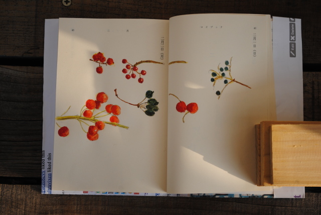 慣例、木の実を描く_d0101846_08050943.jpg