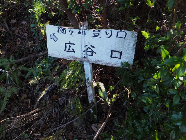 d0048350_21512518.jpg