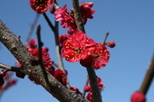 b0323858_23083992.jpg