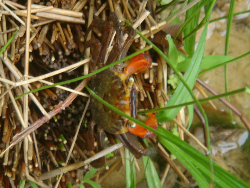 c0108460_18243735.jpg