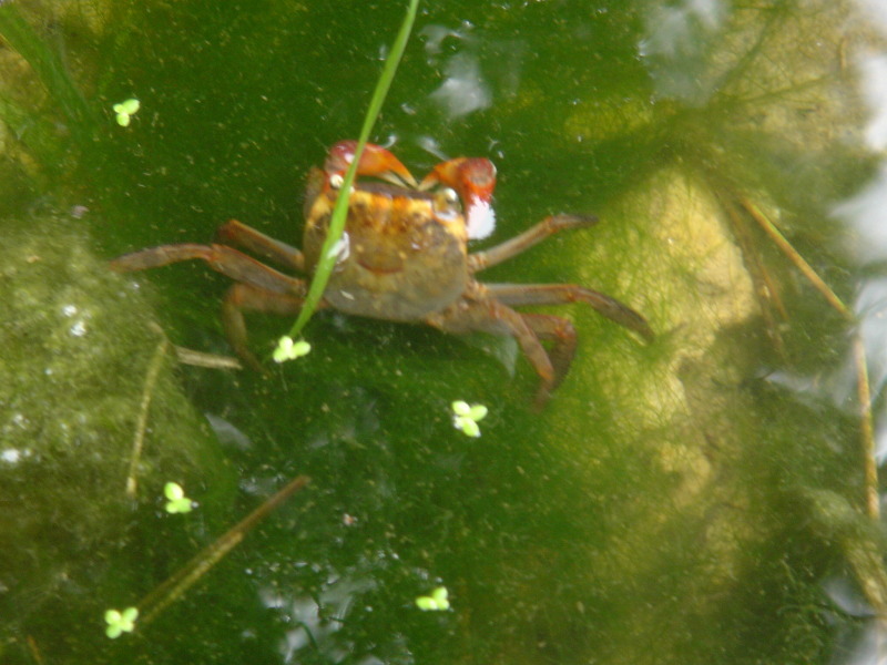 c0108460_18243869.jpg