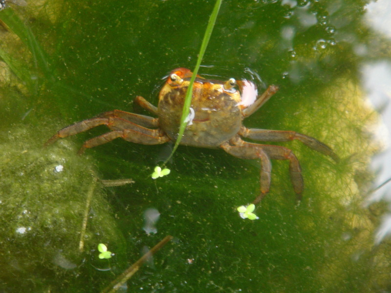 c0108460_18243932.jpg