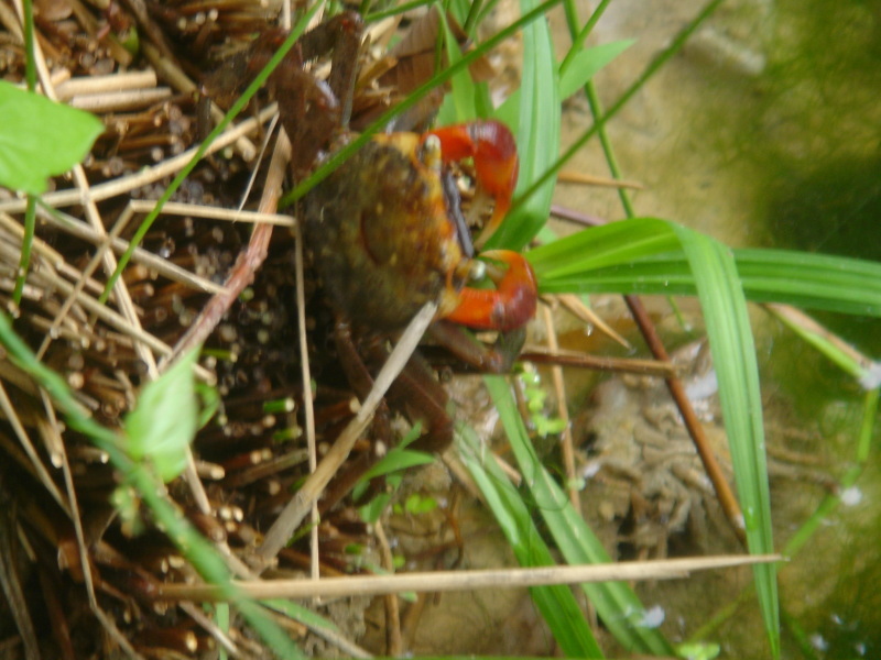 c0108460_18243991.jpg