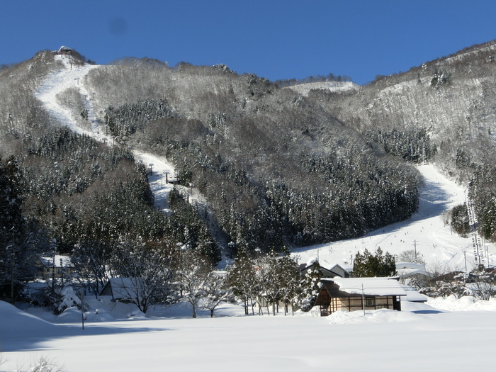 c0140260_04665.jpg