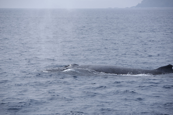 b0062363_20395190.jpg