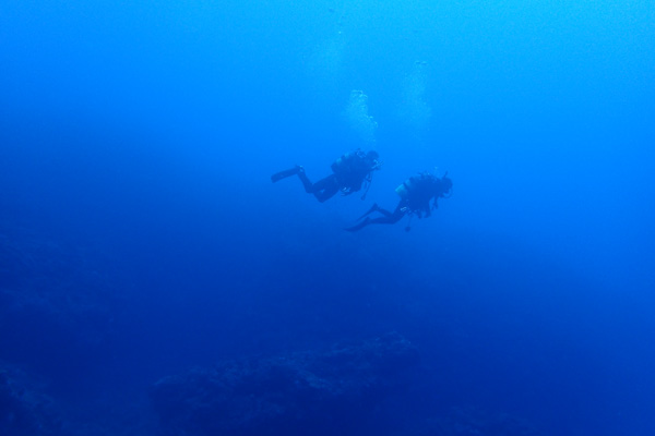 b0062363_20431542.jpg