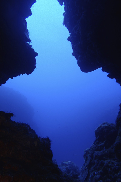 b0062363_2043539.jpg