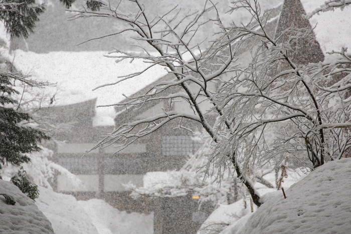 雪の雲洞庵_b0232463_1511112.jpg