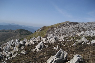 c0229483_0293526.jpg