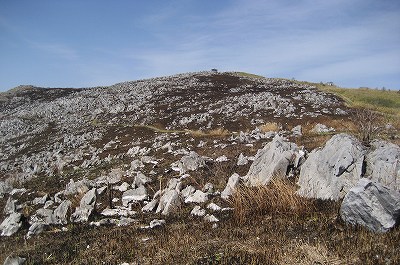 c0229483_029471.jpg