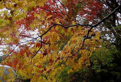 c0229483_2234502.jpg