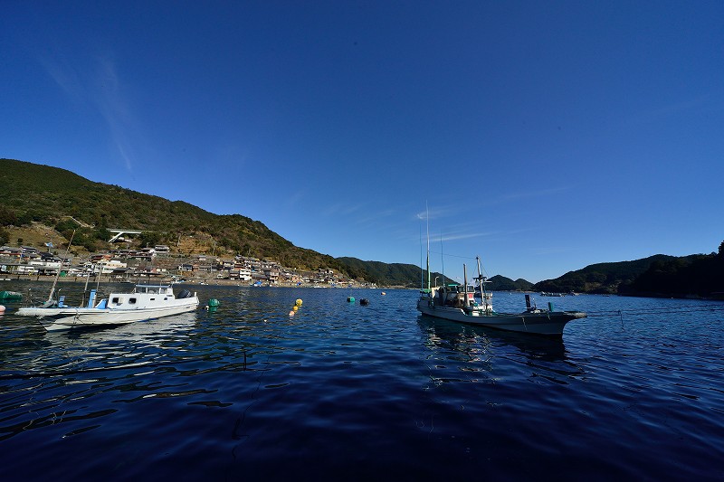 d0045383_19284750.jpg
