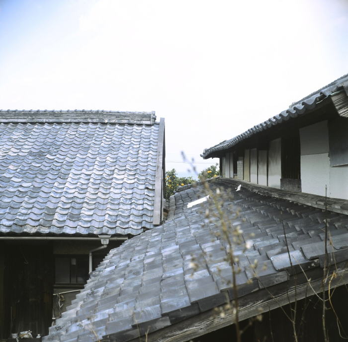 e0291683_00354272.jpg