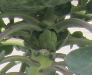 f0234590_9493175.png