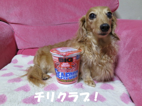 あったかいんだからぁ♪_b0200291_22181690.jpg