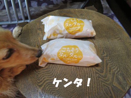 あったかいんだからぁ♪_b0200291_22261012.jpg