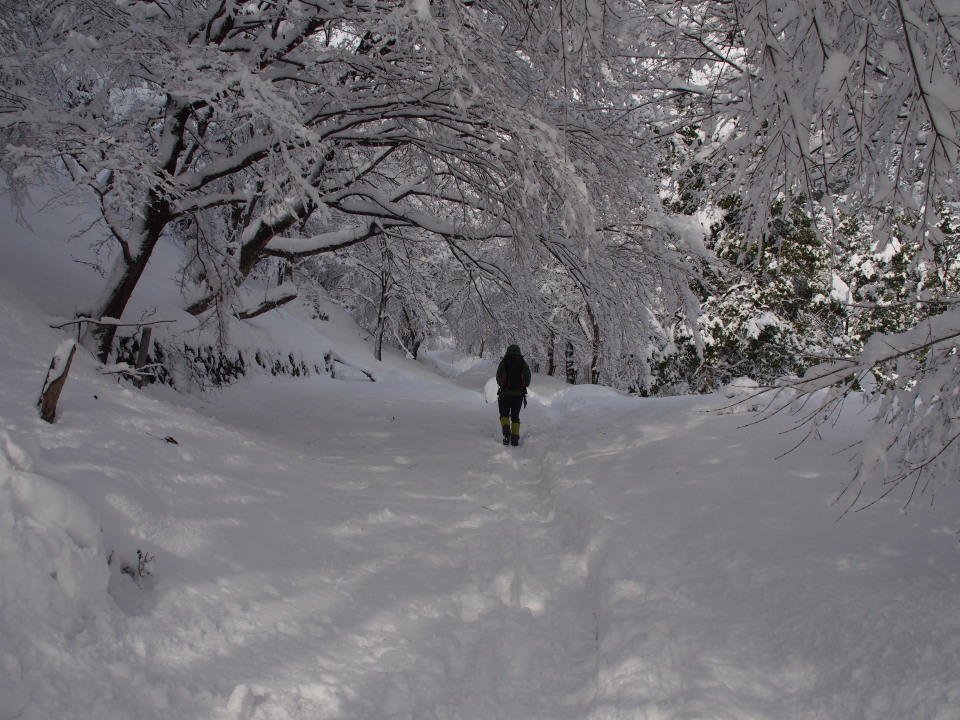 晴時々曇時折猛吹雪（局所的に）のコヤマノ岳～武奈ヶ岳へ　2015/01/18　２名_c0134193_11444777.jpg