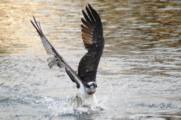 a0206496_16573360.jpg