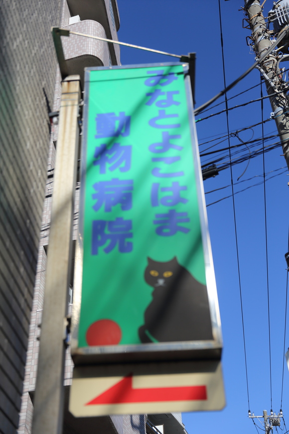 b0275998_8144110.jpg