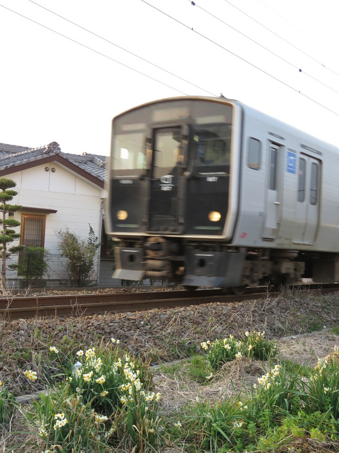 大淀川のほとり♪ (^o^)_c0049299_19105295.jpg