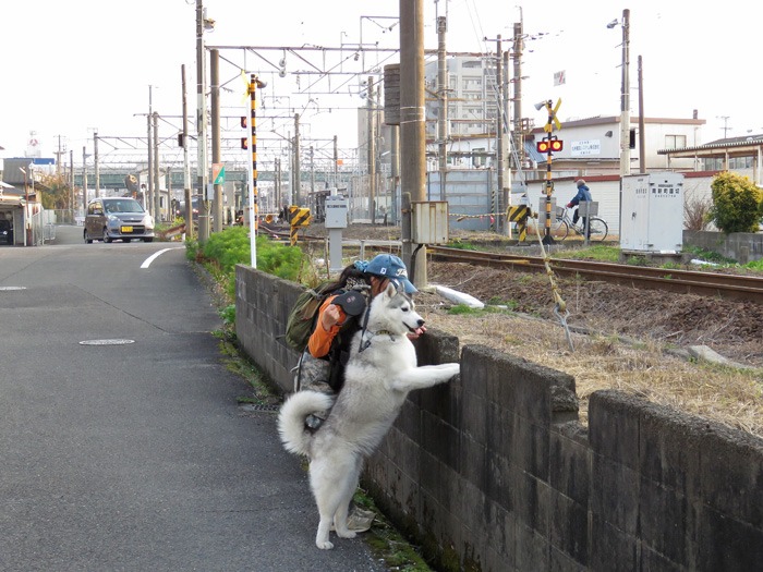 大淀川のほとり♪ (^o^)_c0049299_19111924.jpg