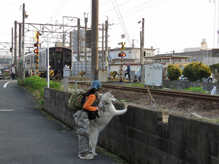 大淀川のほとり♪ (^o^)_c0049299_19112459.jpg
