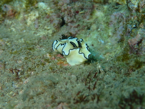 e0115199_21104434.jpg