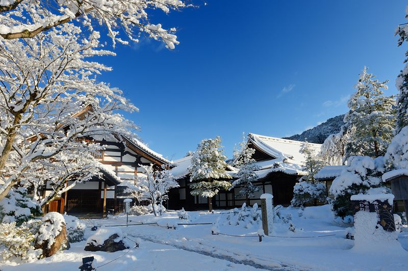 2015京の雪景色@高台寺_f0032011_19394370.jpg