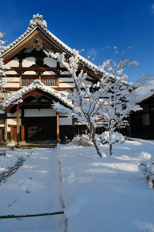 2015京の雪景色@高台寺_f0032011_19395812.jpg