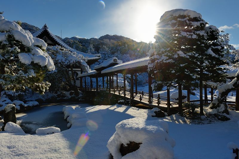 2015京の雪景色@高台寺_f0032011_19422064.jpg