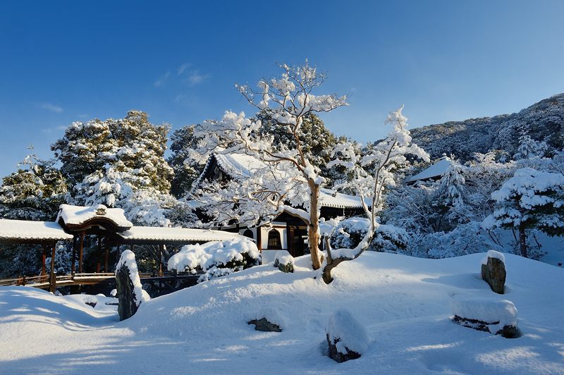 2015京の雪景色@高台寺_f0032011_1942452.jpg