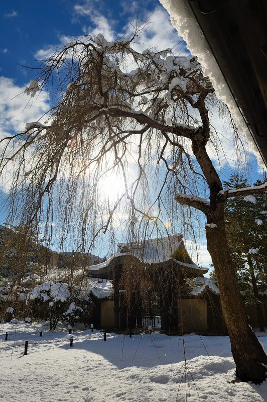 2015京の雪景色@高台寺_f0032011_19435194.jpg