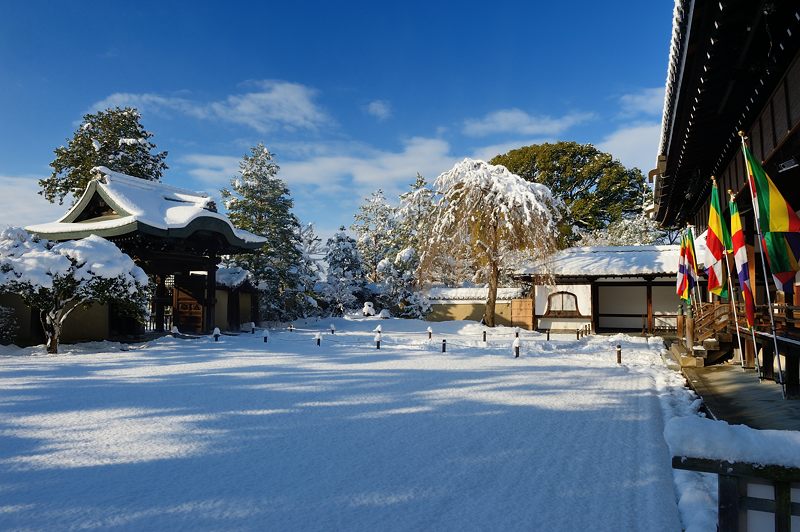 2015京の雪景色@高台寺_f0032011_1944329.jpg