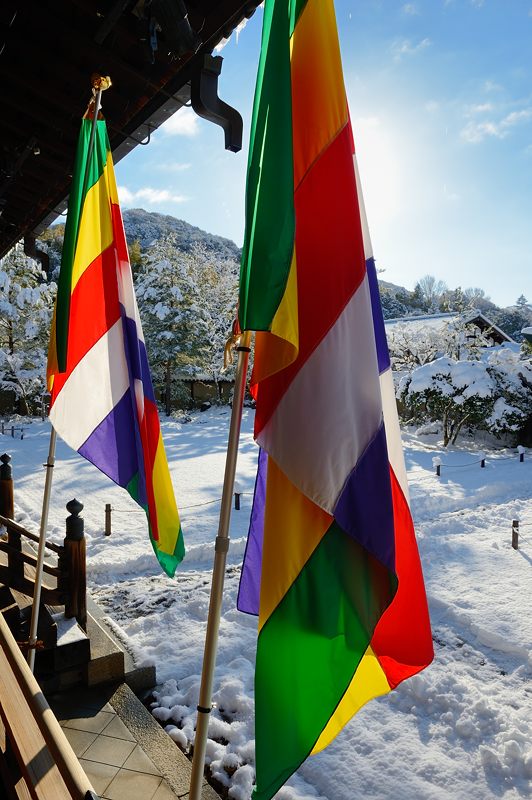 2015京の雪景色@高台寺_f0032011_19443325.jpg