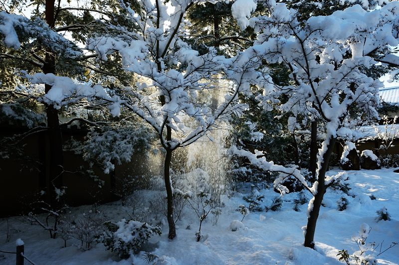 2015京の雪景色@高台寺_f0032011_1945689.jpg