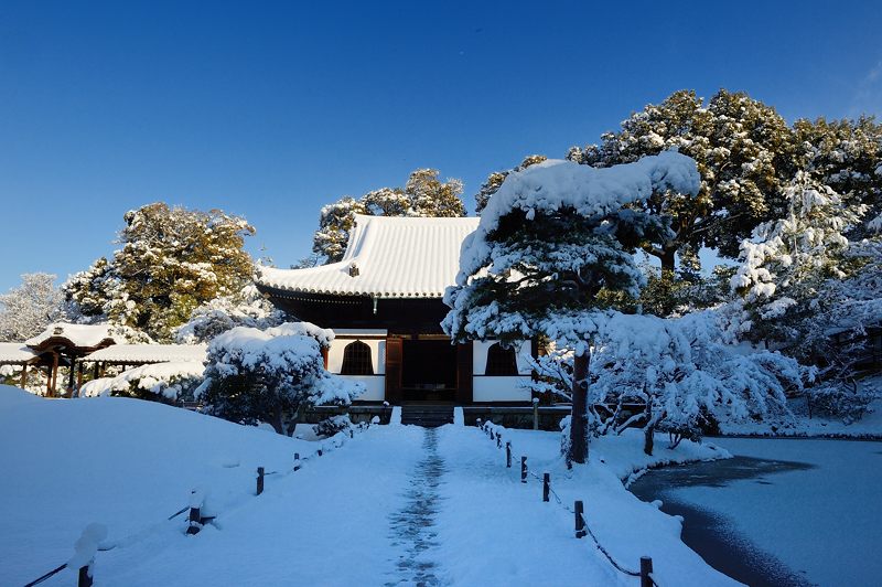 2015京の雪景色@高台寺_f0032011_194626100.jpg
