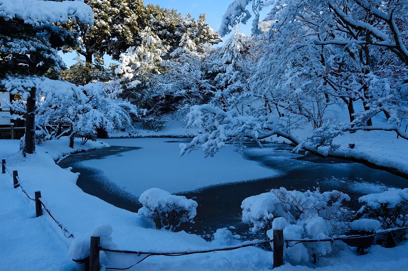 2015京の雪景色@高台寺_f0032011_1946533.jpg