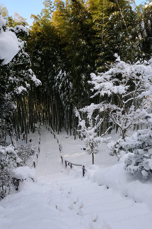 2015京の雪景色@高台寺_f0032011_19471180.jpg