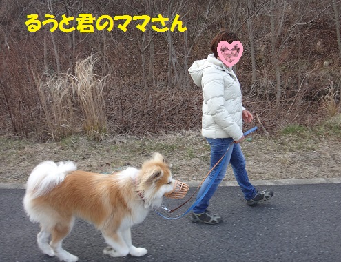パック・ウォークでリハビリ!!_f0121712_8372490.jpg