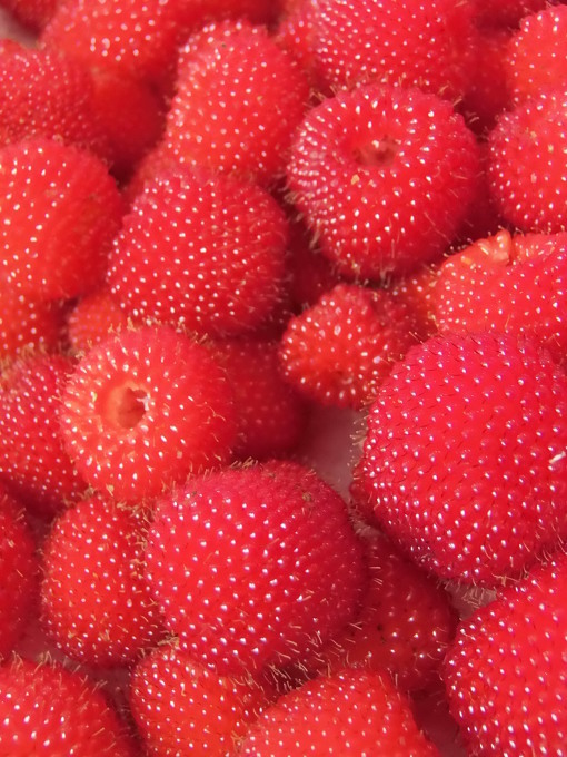 a0125419_21044110.jpg