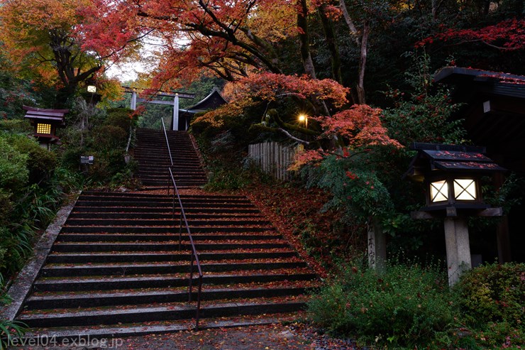 京都 日向大神宮 ～紅葉～_d0319222_13322663.jpg