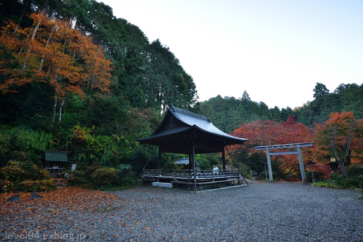 京都 日向大神宮 ～紅葉～_d0319222_13323649.jpg