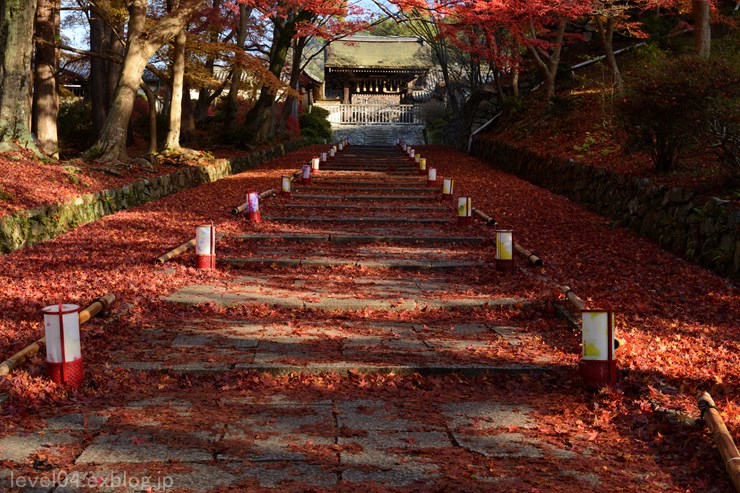 京都 毘沙門堂 ～紅葉～_d0319222_13521142.jpg