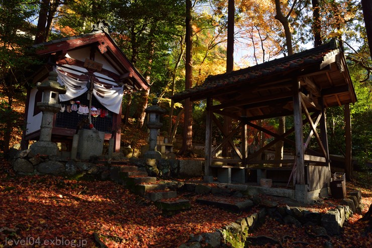 京都 毘沙門堂 ～紅葉～_d0319222_13522028.jpg